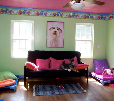 Play N Stay Pet Camp - Saint Clairsville, OH