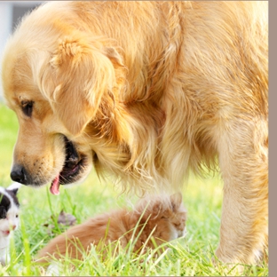 Animal Medical Clinic PA - Melbourne, FL