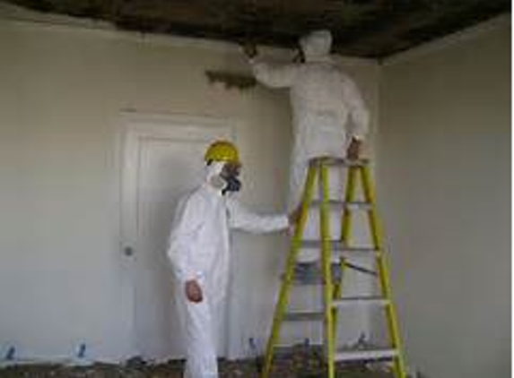 A-1 Environmental Water & Mold  Restorations - Leasburg, NC