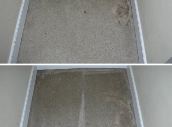 CitruSolution Carpet Cleaning - Chester, VA