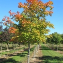 Baldwin Tree Farm - Greenhouses