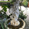 All Seasons Landscaping and Nursery Center gallery