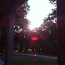 Photo #11