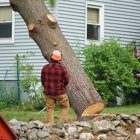 Collins Tree Service