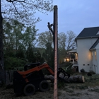 Tiger Tree Service