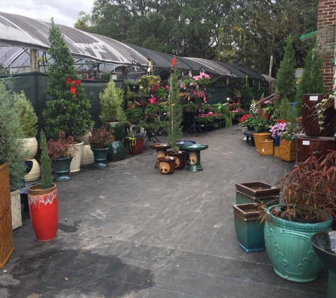 Duncheon's Nursery - Land O Lakes, FL