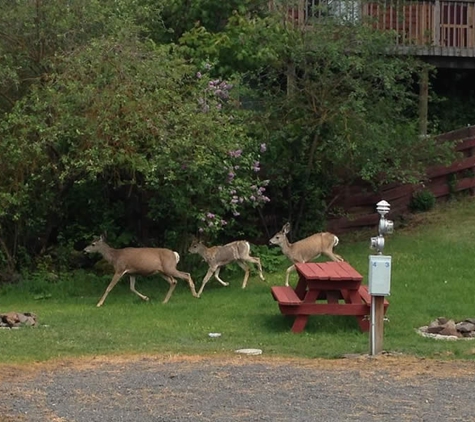 Sun Cove Resort - Medical Lake, WA