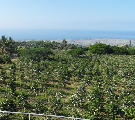 Kiele O Kona Coffee Company - Kailua Kona, HI