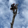 Weber Tree Care gallery