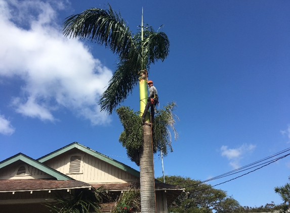 Niu Mana Palm & Tree Care LLC - Kalaheo, HI