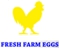 Fresh Farm Eggs Pty Ltd - Egg Merchants