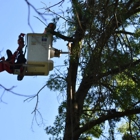 BeaverJack Tree Service, LLC