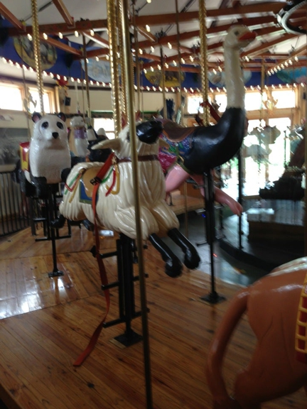 Carousel Gallery #21