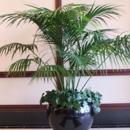 Accent Interiorscapes - Orchid Growers