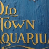 Old Town Aquarium gallery