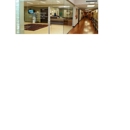 Precision Optical - Optical Goods