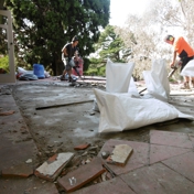 Gallery Image Number 6