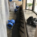RESTOREX Disaster Restoration - Water Damage Emergency Service