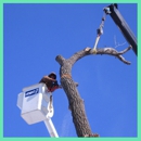 GEB Contracting, Inc. - Arborists