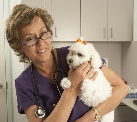 Animal Hospital of Ft Lauderdale - Oakland Park, FL