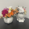 A Beautiful Occasion gallery