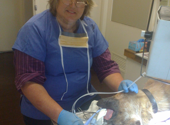 Birdwood Veterinary Clinic - Birdwood, SA
