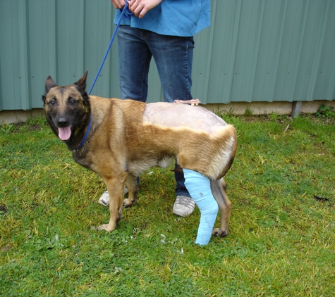 Birdwood Veterinary Clinic - Birdwood, SA