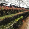 Tractor Supply Co gallery