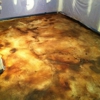 Tampa Epoxy Floors & Polished Concrete Flooring gallery