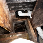 Mold Hunters Mold Remediation