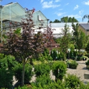 Family Tree Nursery - Nurseries-Plants & Trees