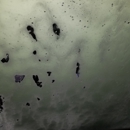 Trinity Car Wash - Car Wash