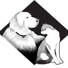Gentle Doctor Animal Hospital gallery