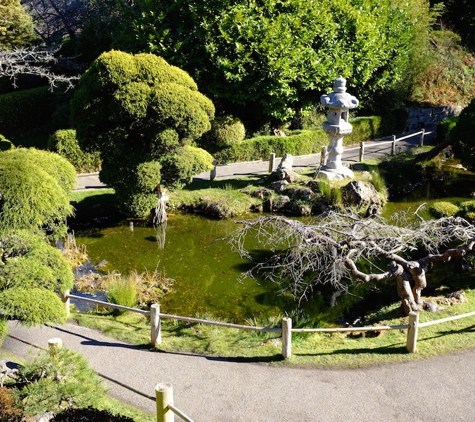 Japanese Tea Garden - San Francisco, CA