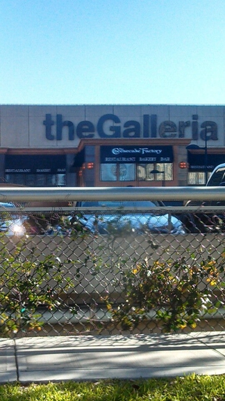 Carousel Gallery #31