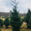 Hill's Christmas Tree Farm gallery