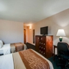 Comfort Inn Virginia Horse Center gallery