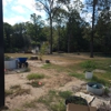 Tier One Tree Care gallery