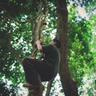 Giraffe Tree Services