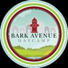 Bark Avenue Daycamp gallery