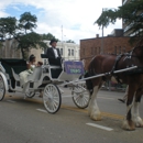 Camelot Carriage Service & Clydesdale Horses - Horse & Carriage-Rental