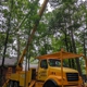 Clower Tree Service