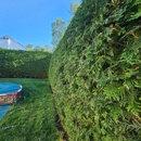 Clean Cut Landscape Services - Gardeners