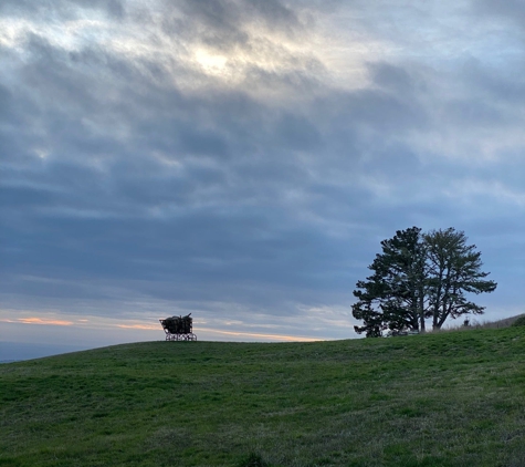 Djerassi Resident Artists Program - Redwood City, CA