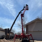 AAA Tree & Landscaping