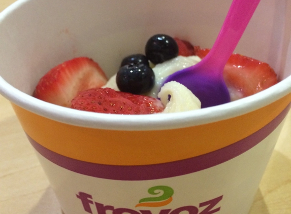 Froyoz - Cedar Park, TX