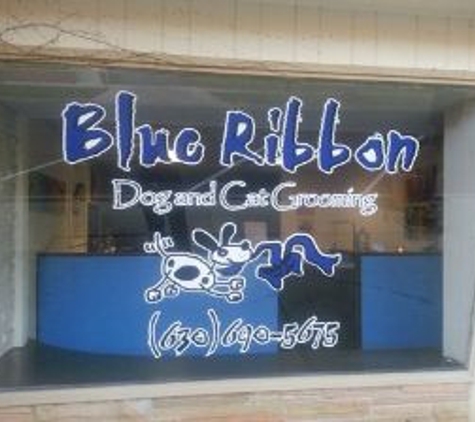 Blue Ribbon Dog & Cat Grooming - Wheaton, IL