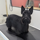 Well Groomed Pets-West Bradenton - Pet Grooming