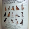 Tufts Veterinary Emergency Treatment & Specialties gallery