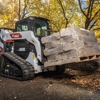 Intermountain Bobcat gallery